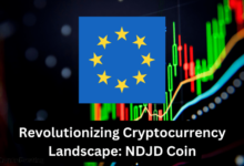 NDJD Coin-min